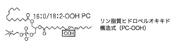 リン脂質ヒドロペルオキキド 構造式