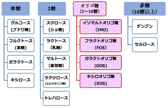 主な糖類の例