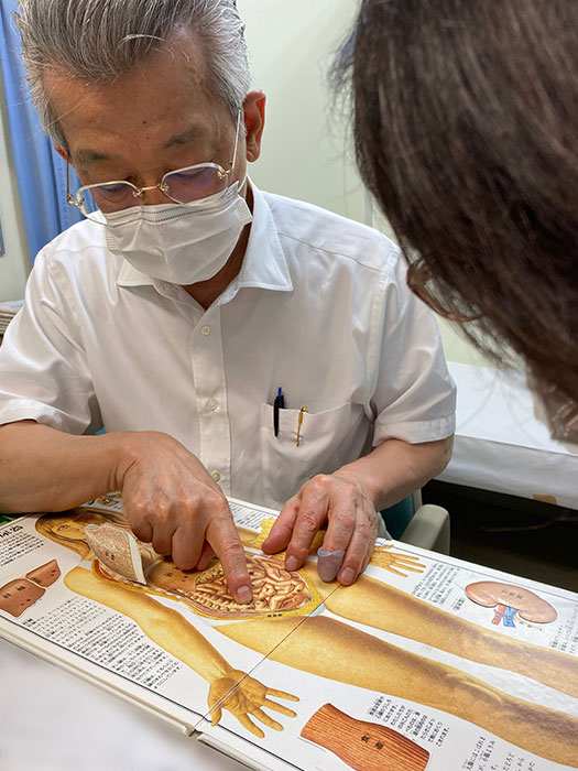 イエロー鮮やかなタンポポさんにお友達