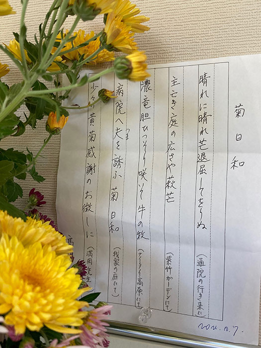 菊日和2