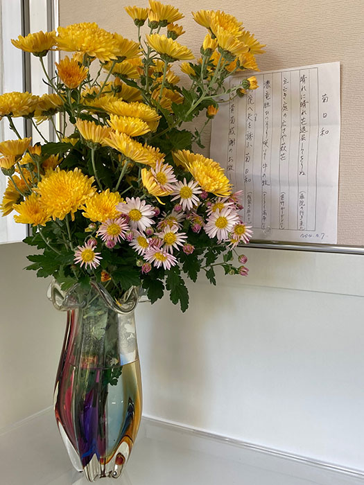 菊日和1
