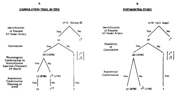 figure4