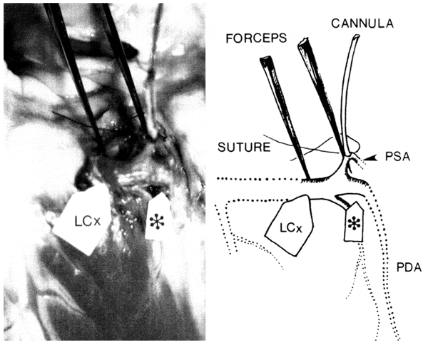 figure5