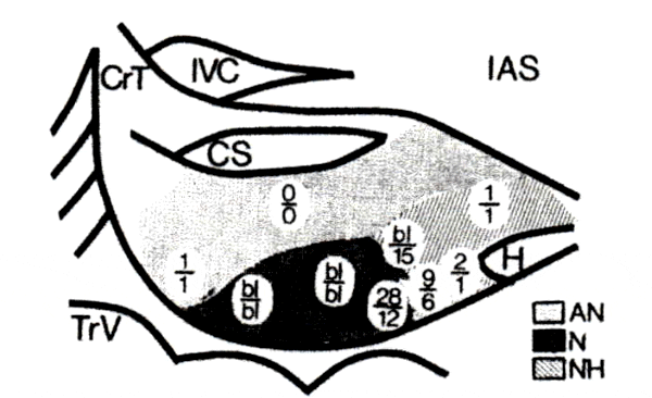 figure1