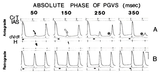figure5