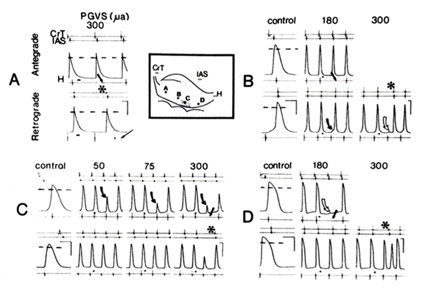 figure6