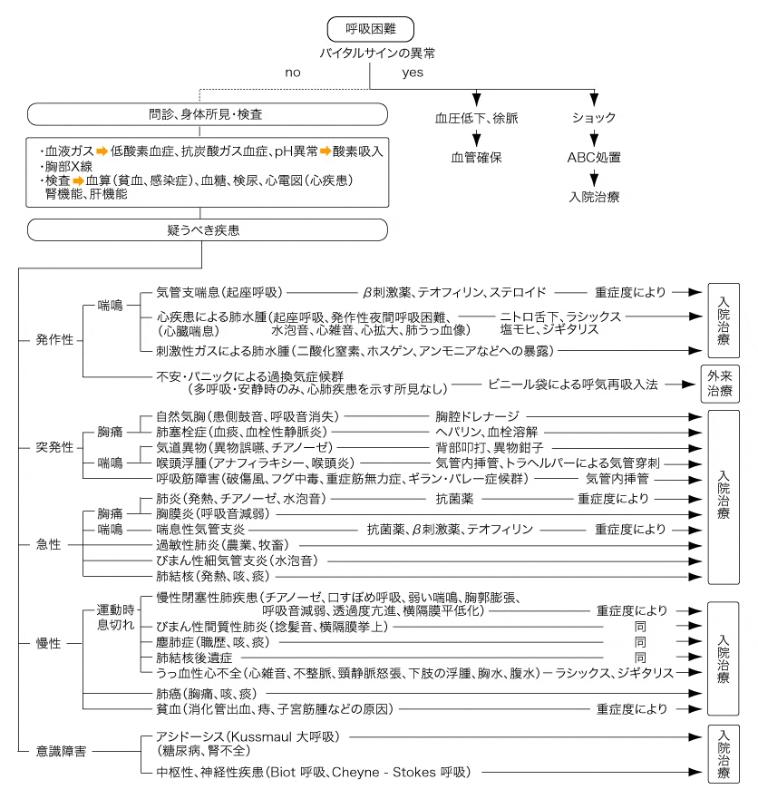 図1.呼吸困難の急患ー最初の1時間ですること、考えること