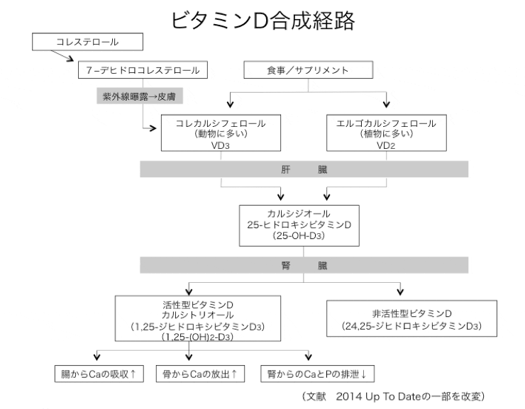 図1